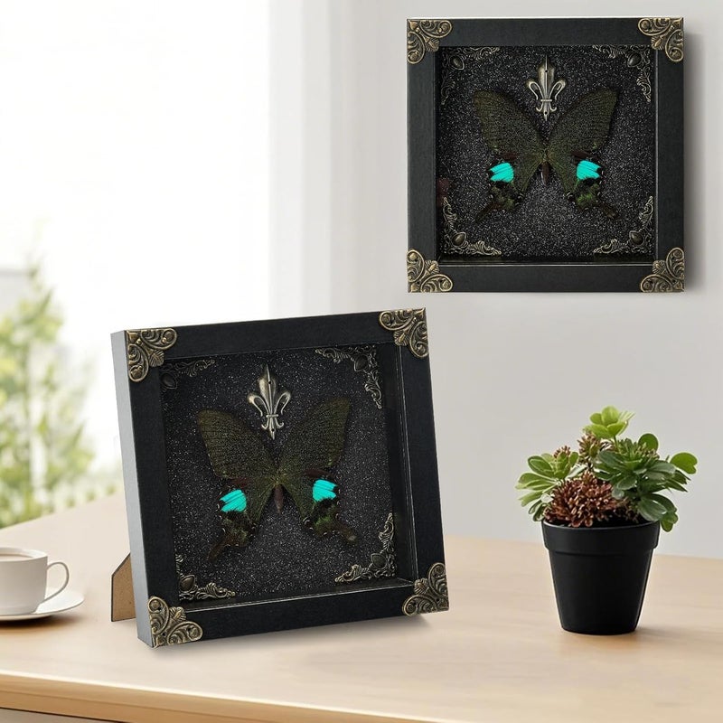 GDBEH Real Butterfly Framed Handmade - Taxidermy Butterfly Shadow Box - Real Framed Butterflies in a Box for Gothic Home Decor Aesthetic. (Parisian Swallowtail Butterfly) - Image 5